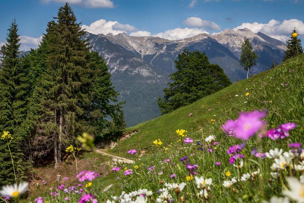 Fewo Lebensfreude Миттенвальд Номер фото